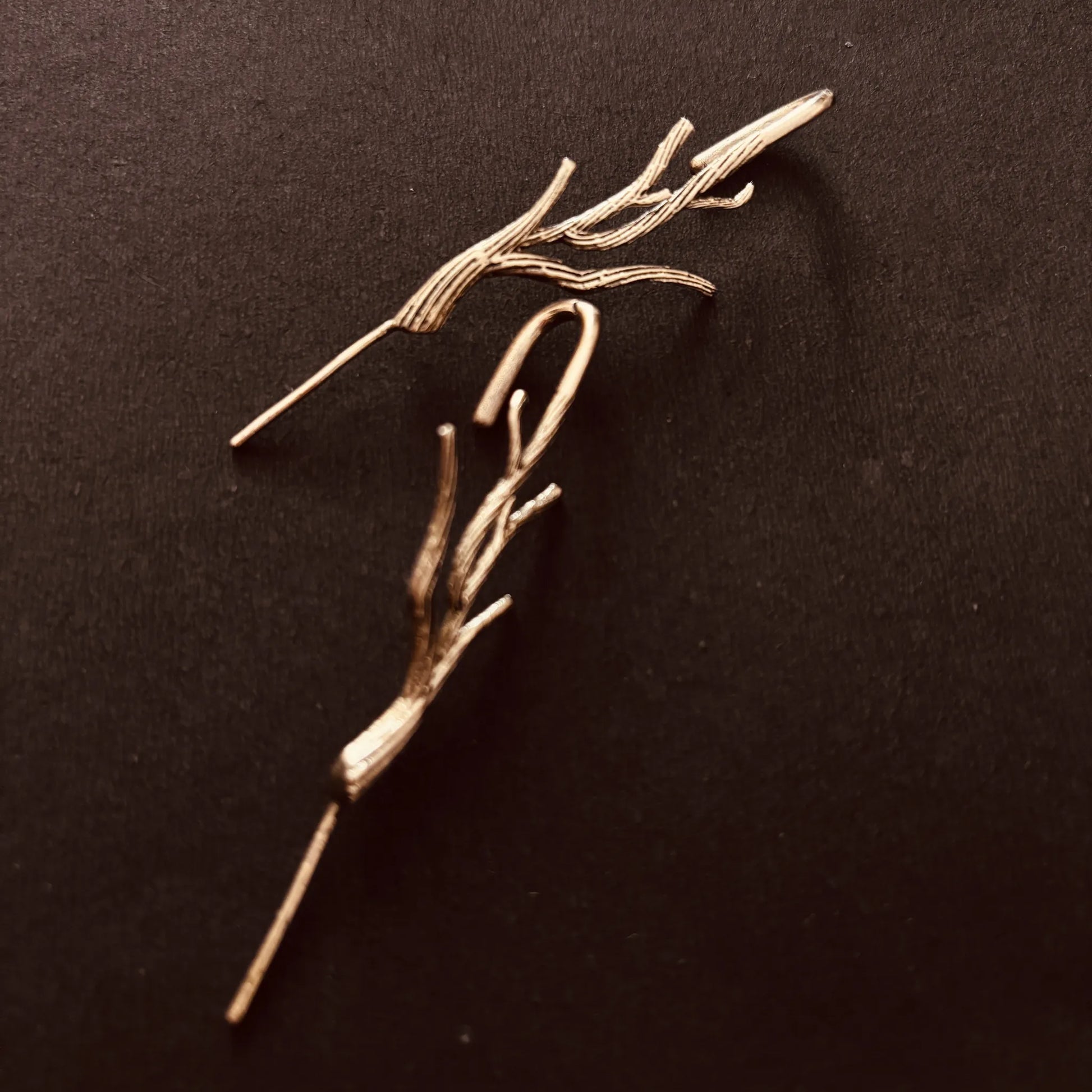 Brass twig-shaped earrings placed on black background