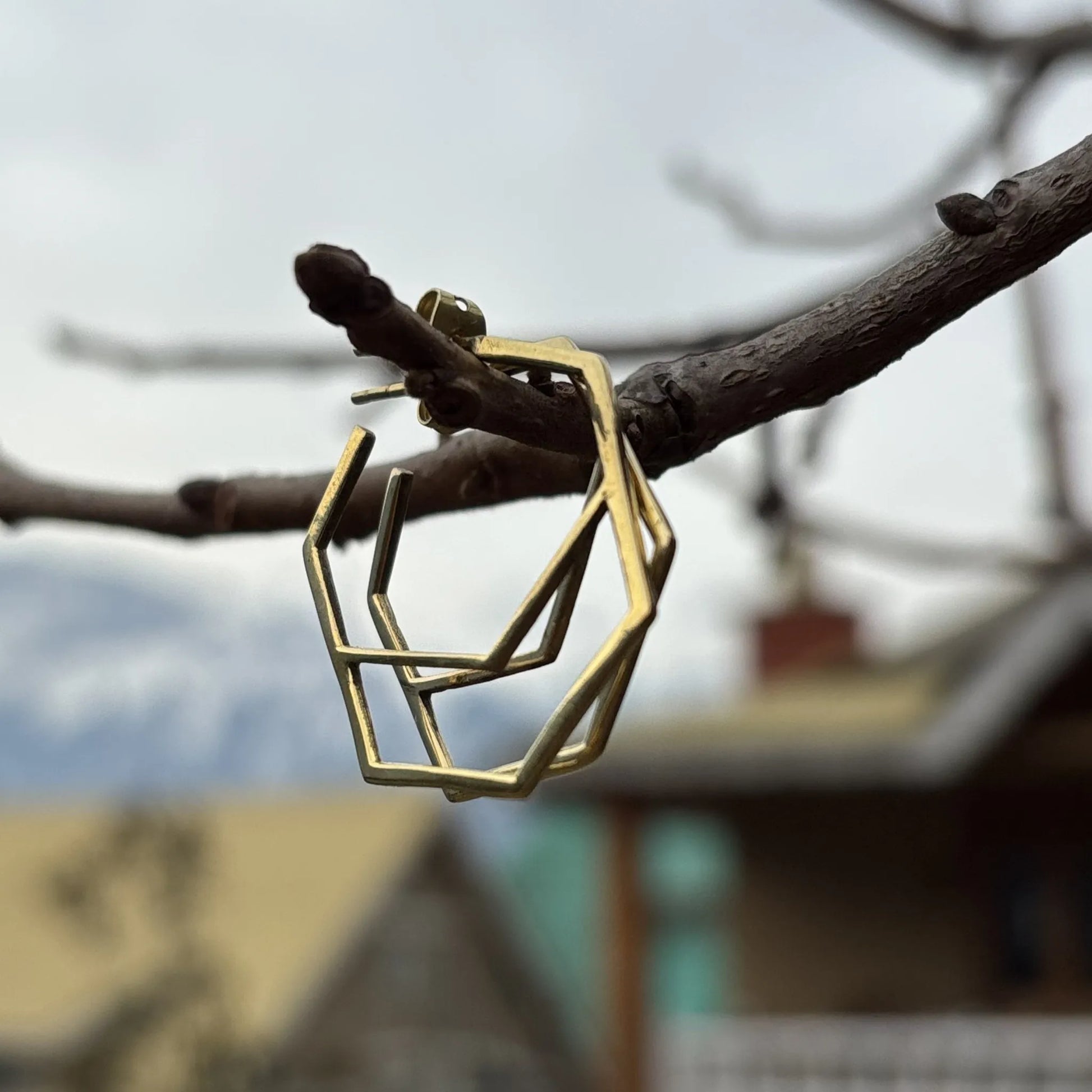 Geometric brass earrings hanging on a bare tree branch with soft mountain background