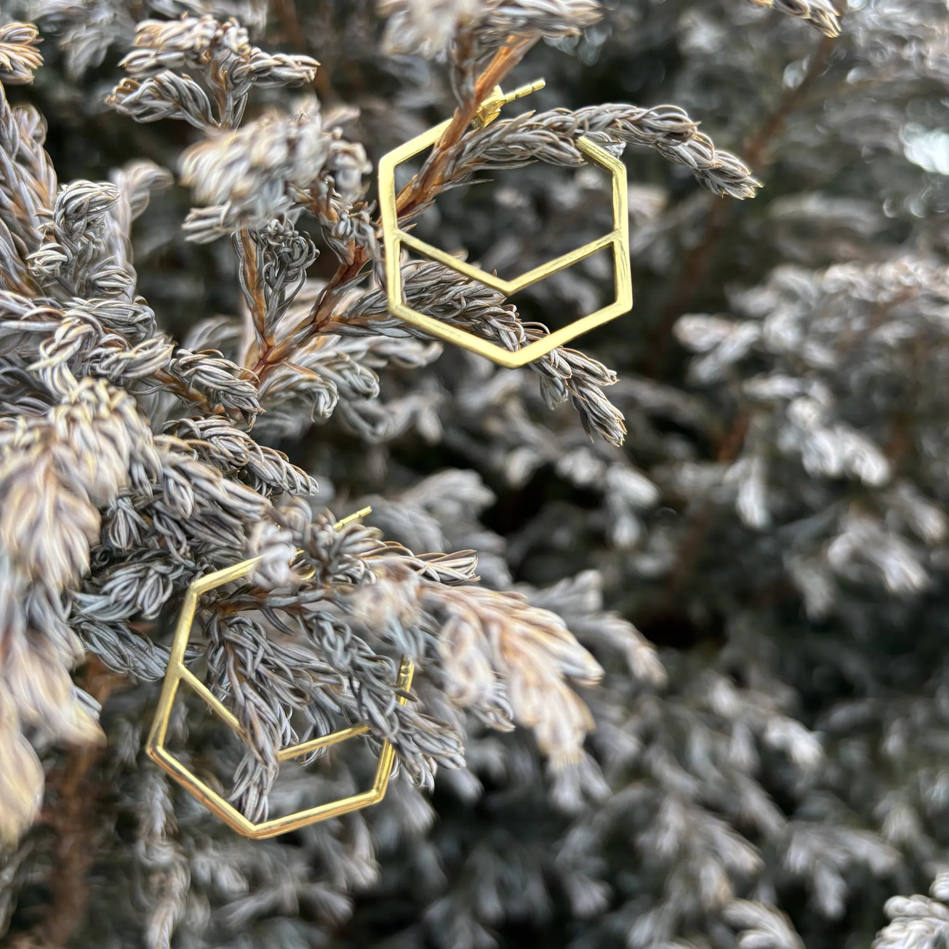 Brass geometric hoop earrings resting on textured silver-toned foliage